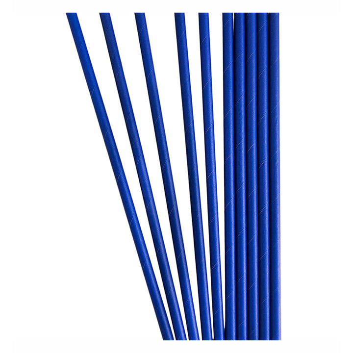 Solid Color Paper Drinking Straw (Set of 10 straws) - Avbl in 6 colors