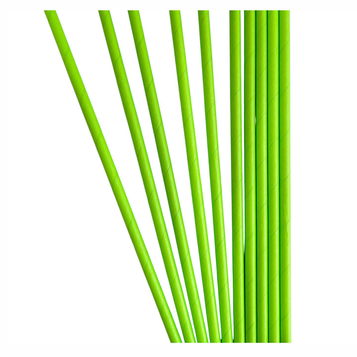 Solid Color Paper Drinking Straw (Set of 10 straws) - Avbl in 6 colors