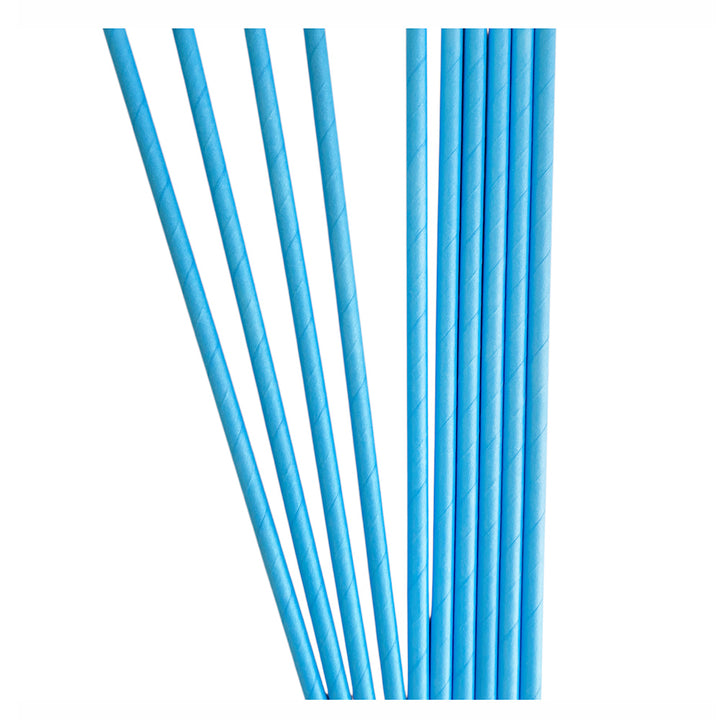 Solid Color Paper Drinking Straw (Set of 10 straws) - Avbl in 6 colors