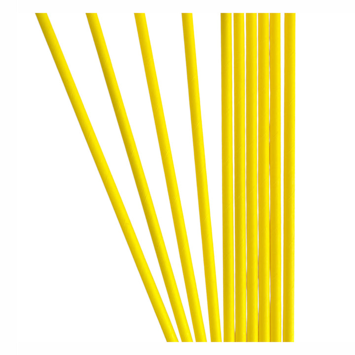 Solid Color Paper Drinking Straw (Set of 10 straws) - Avbl in 6 colors